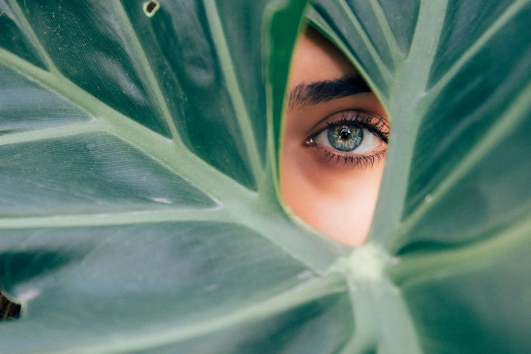 Klimaatverandering en Plantenziekten Klimaatverandering en Plantenziekten