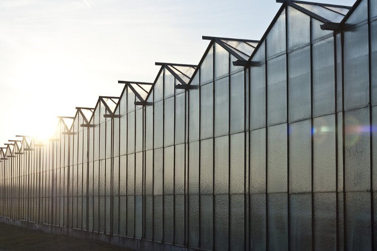 Glastuinbouw: Onterecht onbemind? Glastuinbouw: Onterecht onbemind?