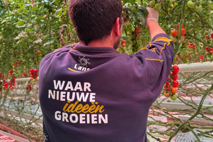 Nieuwe ideen...