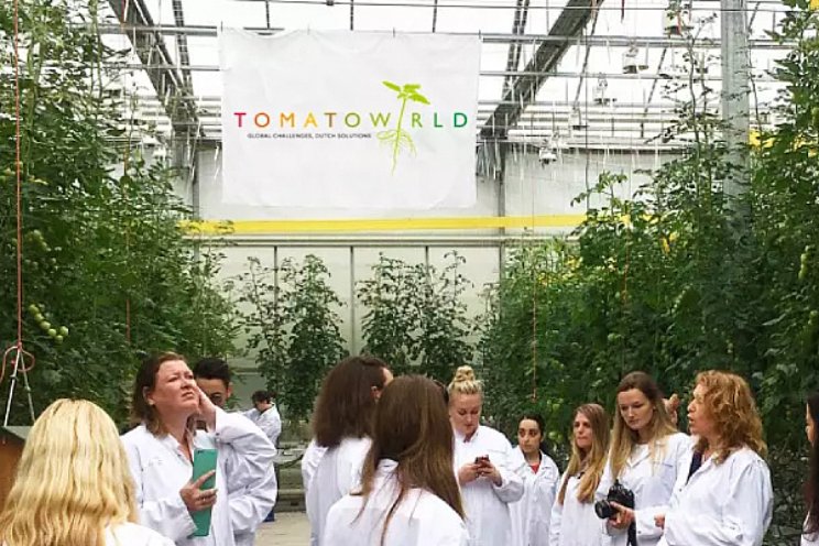 Tomatoworld opent de deuren voor publiek