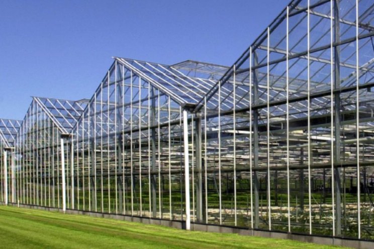 Groen Label Kas maakt sterke comeback in 2024 Groen Label Kas maakt sterke comeback in 2024