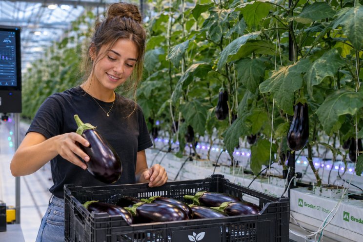 Afzetprijzen in land- en tuinbouw fors afgenomen