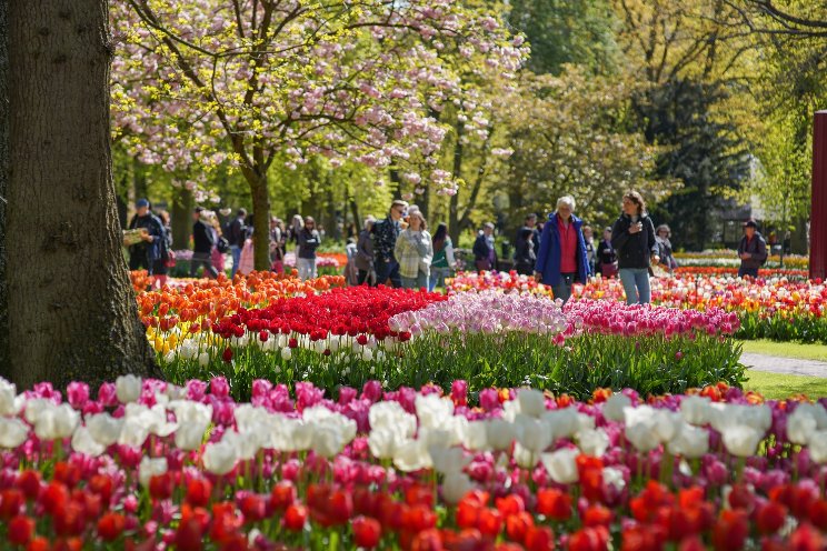 Met Keukenhof Lentepas begint de lente pas! Met Keukenhof Lentepas begint de lente pas!
