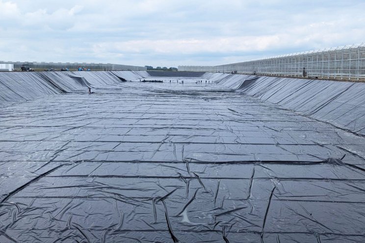 AVAG-lidmaatschap voor Albers Alligator