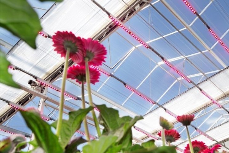 Samenwerking wetenschap en glastuinbouw