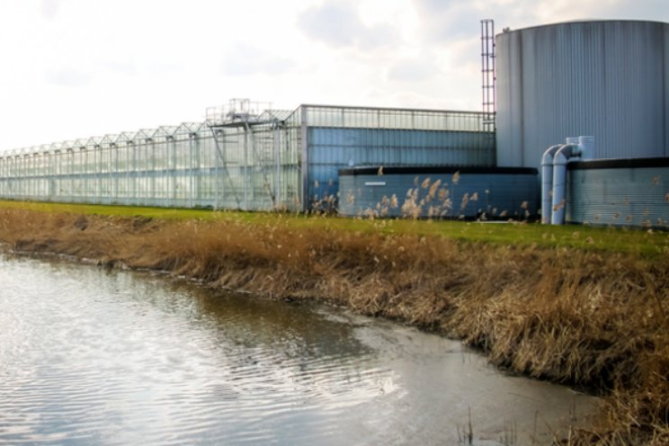 Glastuinbouw Delfland mag beperkt water onttrekken