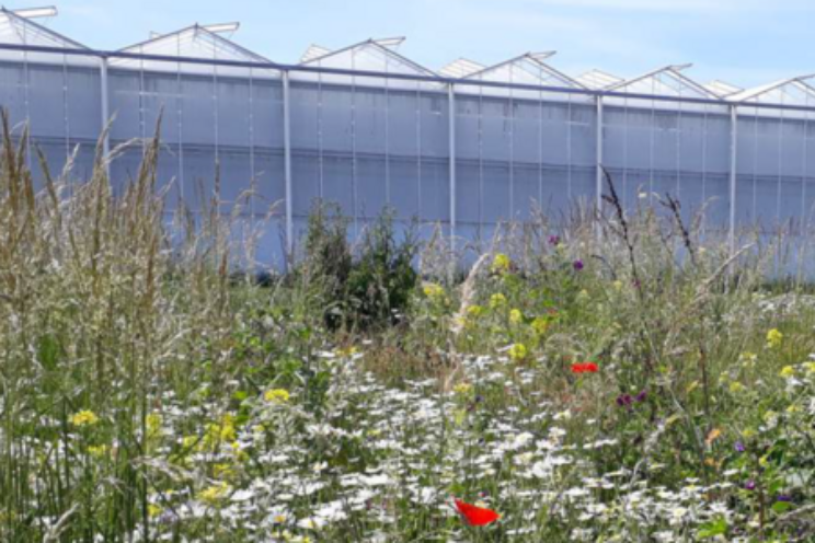 Reminder: infomiddag Biodiversiteits-project Reminder: infomiddag Biodiversiteits-project