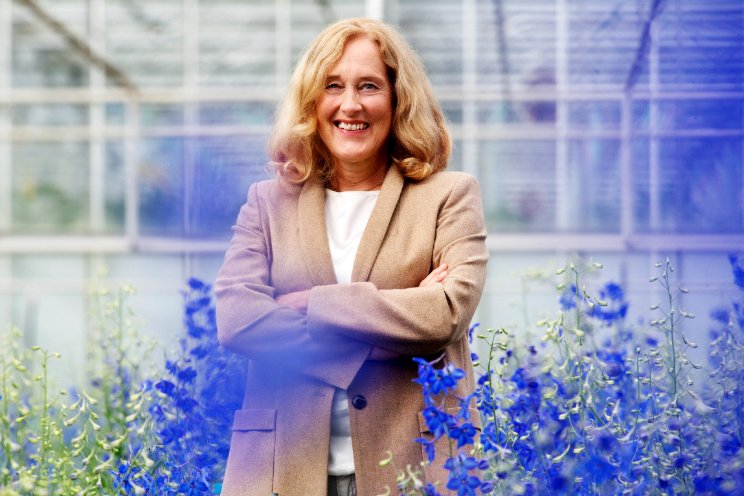 'Robotiseringsprogramma goede stap kabinet' 'Robotiseringsprogramma goede stap kabinet'