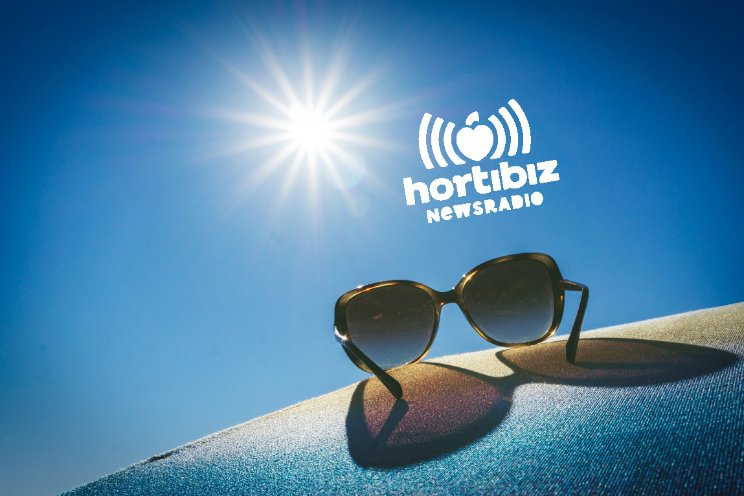 Summer Rewind... Ultramins