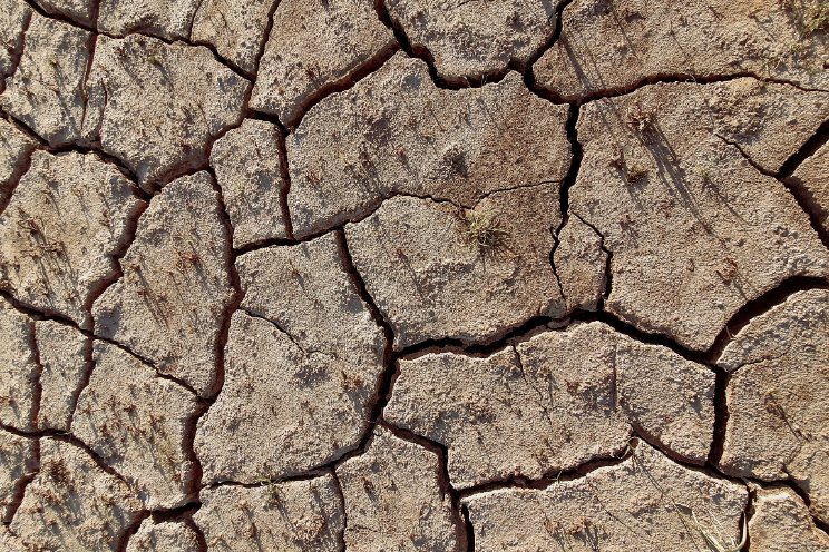 Klimaatverandering drijft foodsector op kosten Klimaatverandering drijft foodsector op kosten