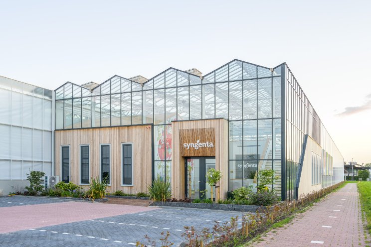 Start seizoen TomatoVision Start seizoen TomatoVision