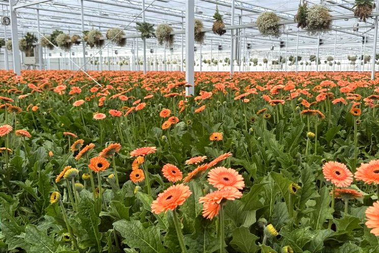 In 2024 fors lager middelengebruik