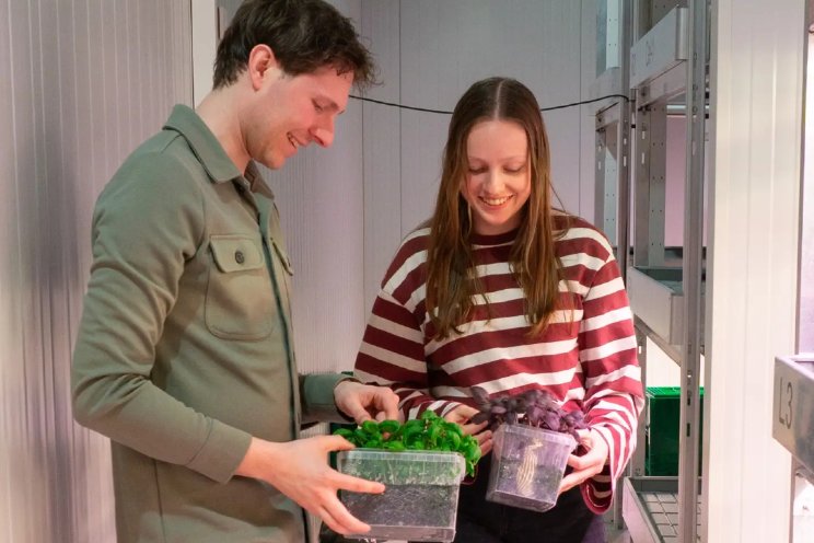 Speeltuin voor onderzoek naar basilicum en meer