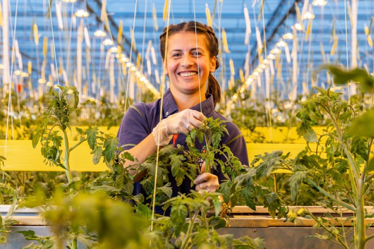 RvC moet groei Agro Care Growers ondersteunen