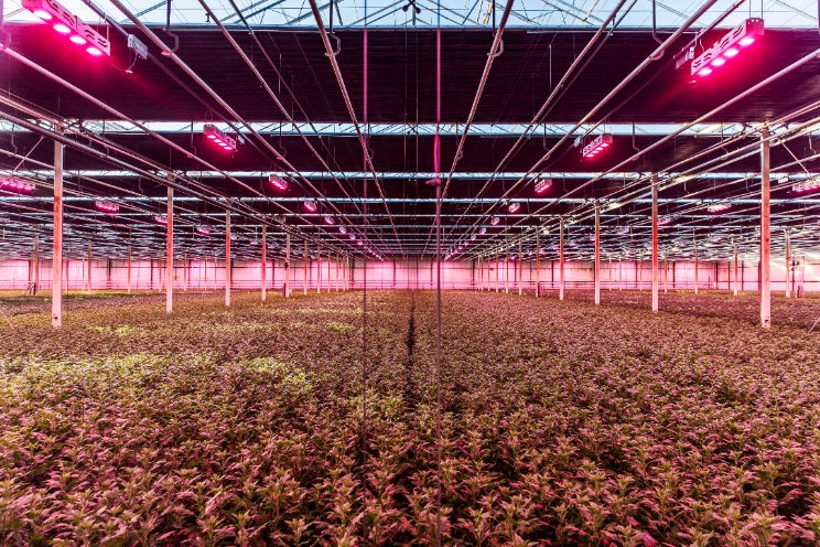 Flexmarkten: Dagvooruit- en Intradaymarkt