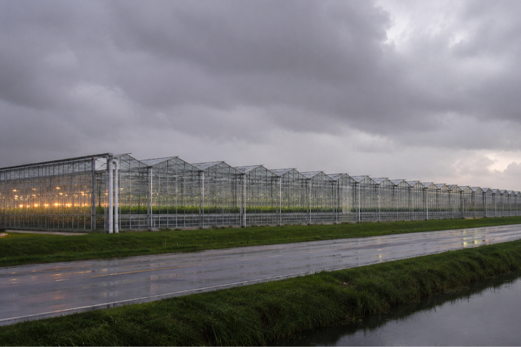 Vandaag: onweer en regen