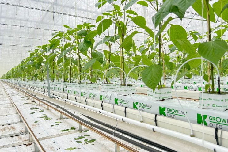 'Growbag Coco vervult duidelijke behoefte'