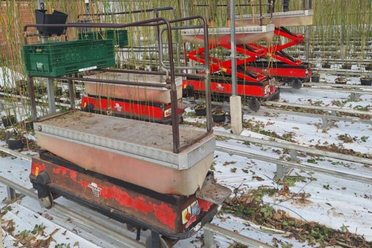 Gespot: electrokarren