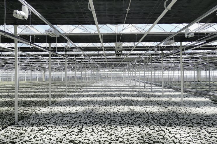 Extra energiebesparing dankzij scherminnovaties Extra energiebesparing dankzij scherminnovaties