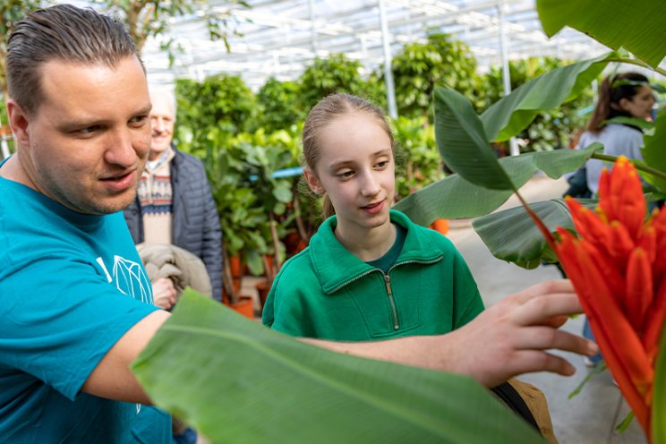 Aftellen gestart richting Kom in de Kas 2026