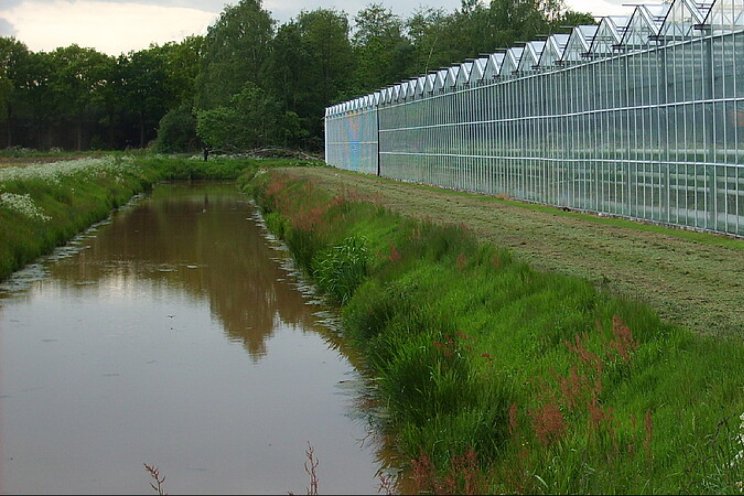 Delfland legt vaker last onder dwangsom op Delfland legt vaker last onder dwangsom op
