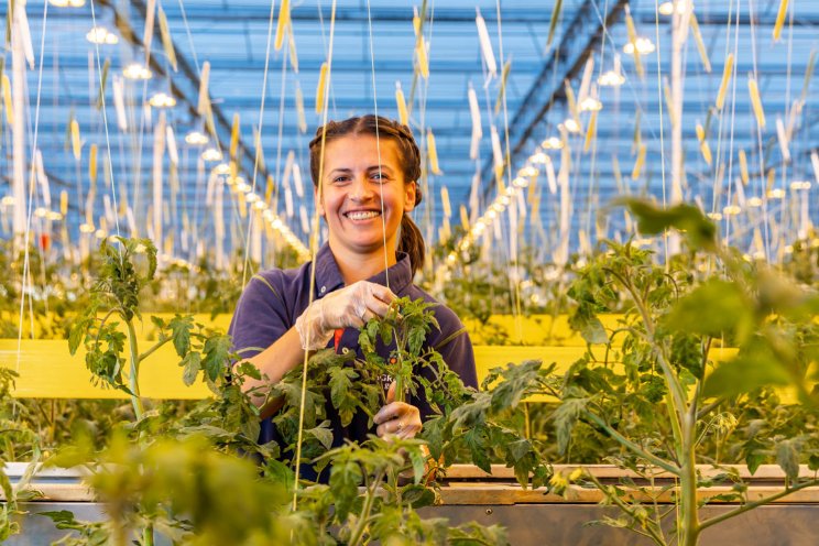 Agro Care breidt areaal verder uit in Rilland