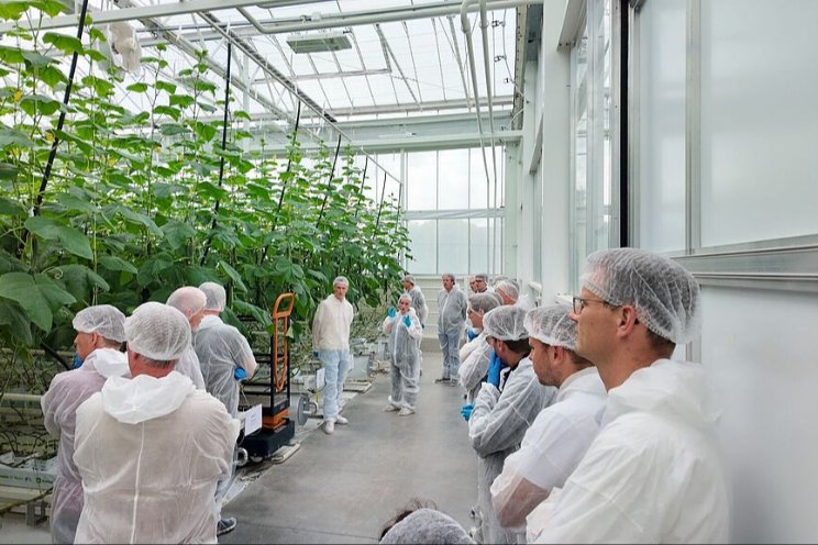 Komkommertelers doen nieuwe inzichten op