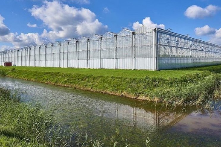 Relatief goed jaar voor de land- en tuinbouw