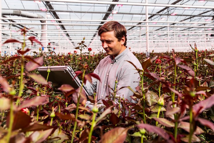 Voordeel flexmarkten: balanceringsdiensten