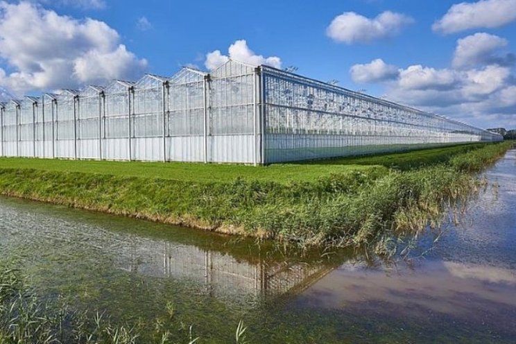 Private equity: zegen of vloek voor tuinbouw? Private equity: zegen of vloek voor tuinbouw?