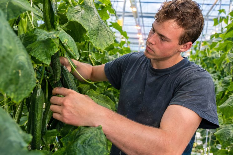 Oplopende kosten zetten marges in food onder druk