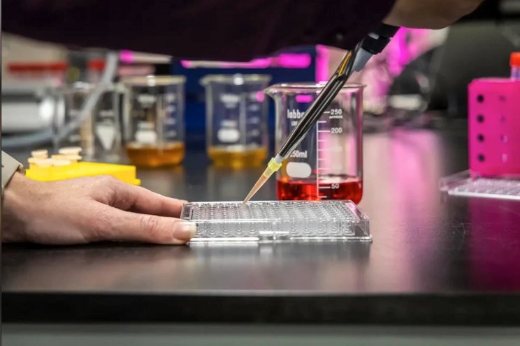Inhoudstoffen in strijd tegen ziekenhuisbacteri�n