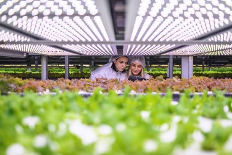 Toegang tot fieldlabs voor MKB in Zuid-Holland