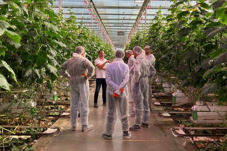 BASF|Nunhems zet nieuwe komkommer in spotlight
