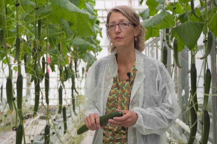 Flyer: nutri�nten uit afvalwater in de kringloop