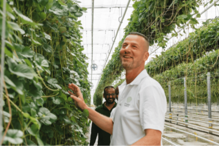 'Sleutelrol AI bij betere productiviteit en winst'