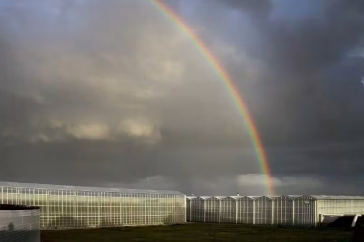 Pas op voor storm!
