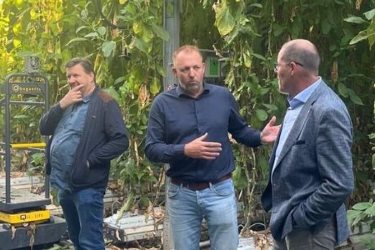 Gedeputeerde BBB bezoekt glastuinbouw Westdorpe Gedeputeerde BBB bezoekt glastuinbouw Westdorpe