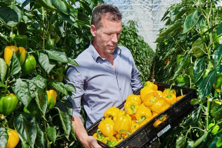 'Samenwerking kracht van een sterke keten' 'Samenwerking kracht van een sterke keten'