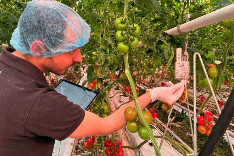 Volgende stap in plantgestuurde irrigatie