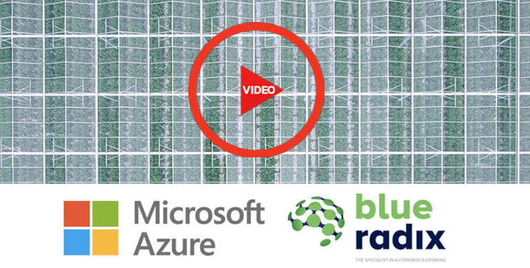 Microsoft maakt video over samenwerking Blue Radix