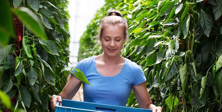 28% Nederlanders ziet werken in tuinbouw zitten
