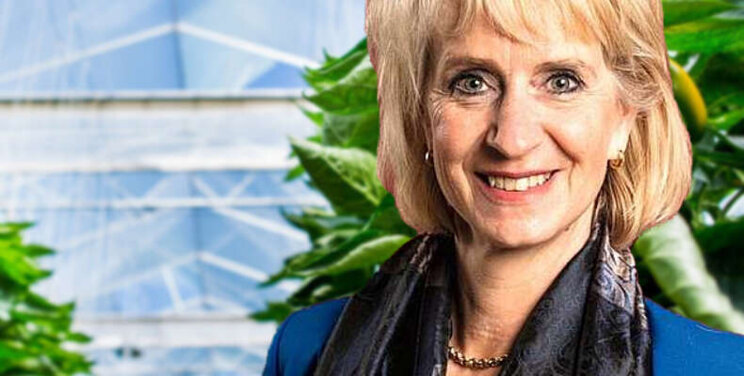 BLOG Jolanda Heistek: Met Hart, Hoofd en Hand BLOG Jolanda Heistek: Met Hart, Hoofd en Hand
