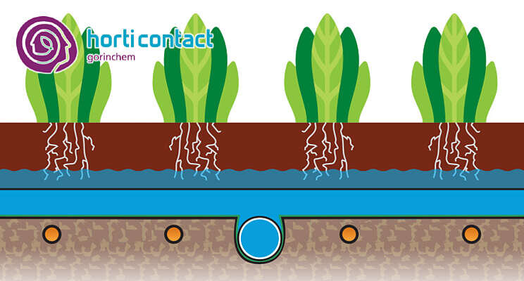 HortiContact Innovation Award - Preshow 2022: Van der Ende HortiContact Innovation Award - Preshow 2022: Van der Ende