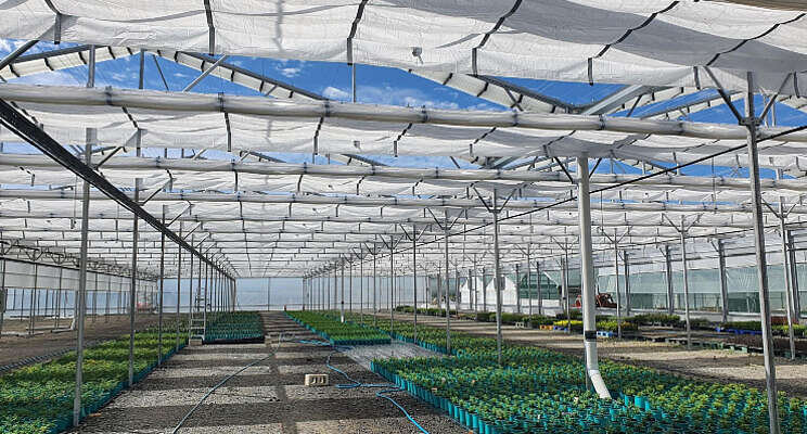 Oderings Nurseries kiest voor Priva Compass Oderings Nurseries kiest voor Priva Compass