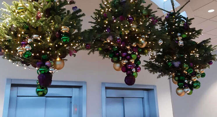 Kerstboom aan plafond?