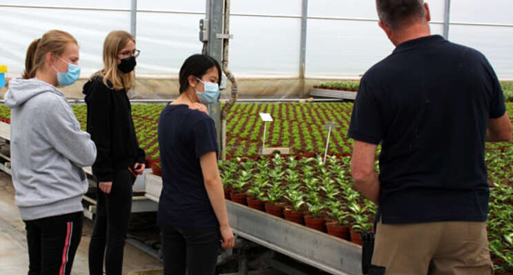Extra tools voor Go Go Greenhouse? Extra tools voor Go Go Greenhouse?