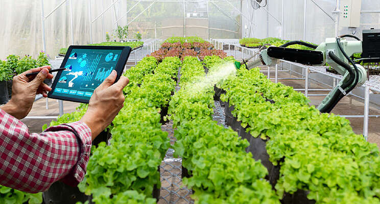 Gratis AI-cursus voor Agri en Food Gratis AI-cursus voor Agri en Food