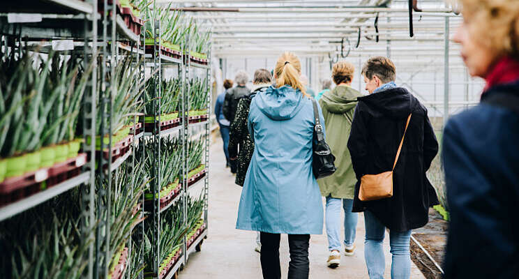 Op excursie bij Dr. Green Op excursie bij Dr. Green