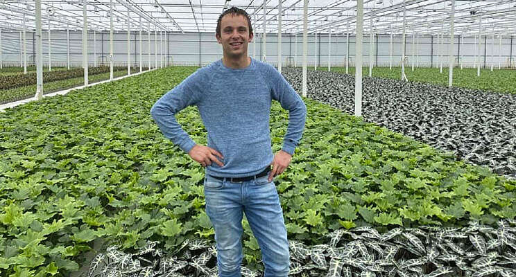 Kwintplant breidt uit en vernieuwt schermen Kwintplant breidt uit en vernieuwt schermen